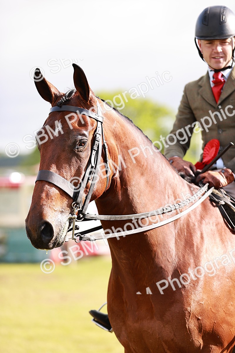 SBM_10824 - Class 81-84 - RIHS Ridden hunters Inc Ladies Hunter