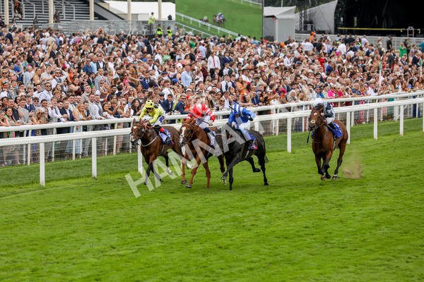 270724-Race 1-Alflaila-4675 - Race 3 3.15pm Sky Bet York Stakes