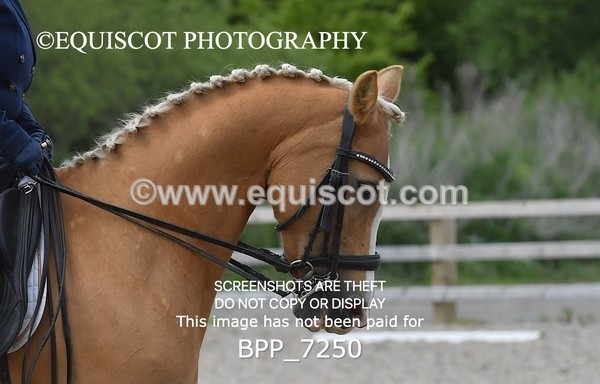 BPP_7250 - 3 D HARRISON