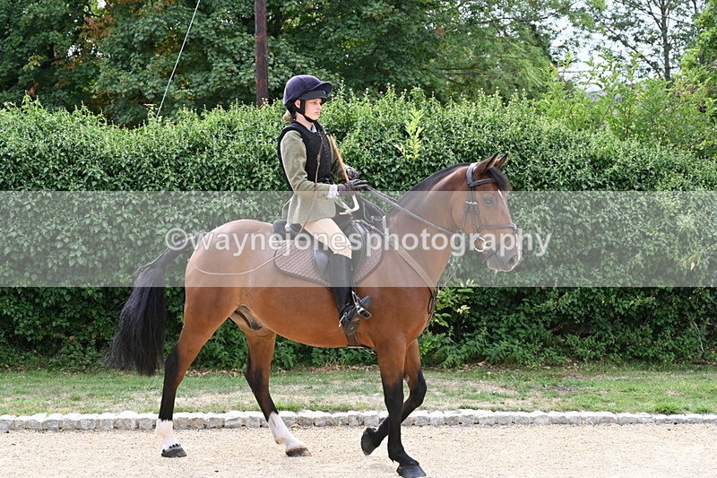 WJ6_3474 - Berks & Bucks - The Old farmhouse - Hound Exercise 20-08-25