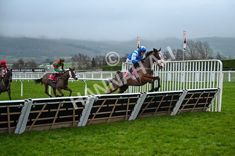 131224-Race 7-Might I-0157 - Race 7