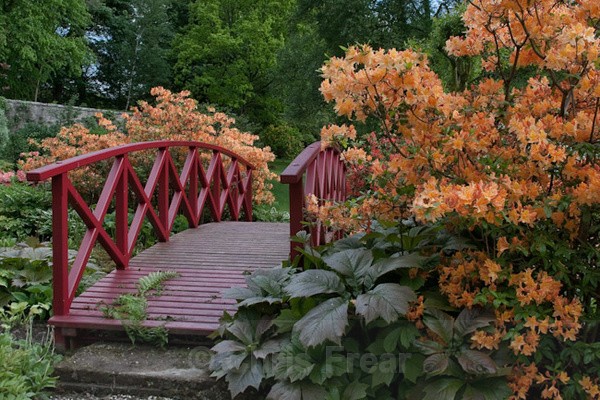  - Dabton Gardens