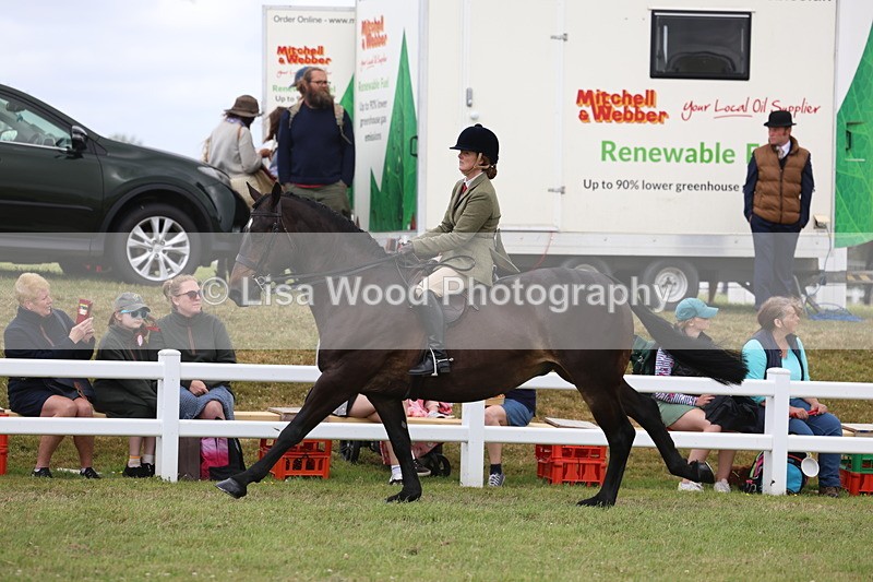 3E7A1495 - Class 9: Open Hunter