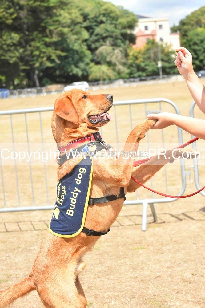 SH4_0217 - Dog show.