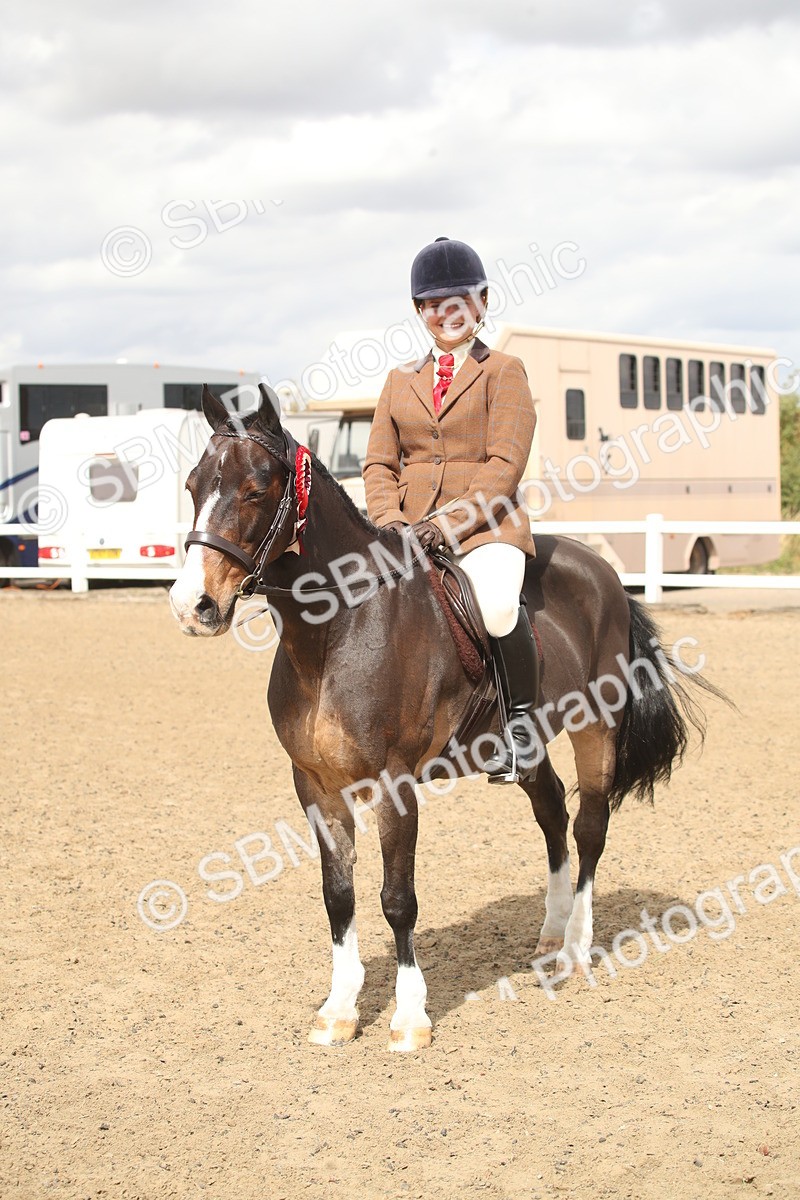 SBM_16555 - Class 506b - Working Veteran - 50cm (20+)