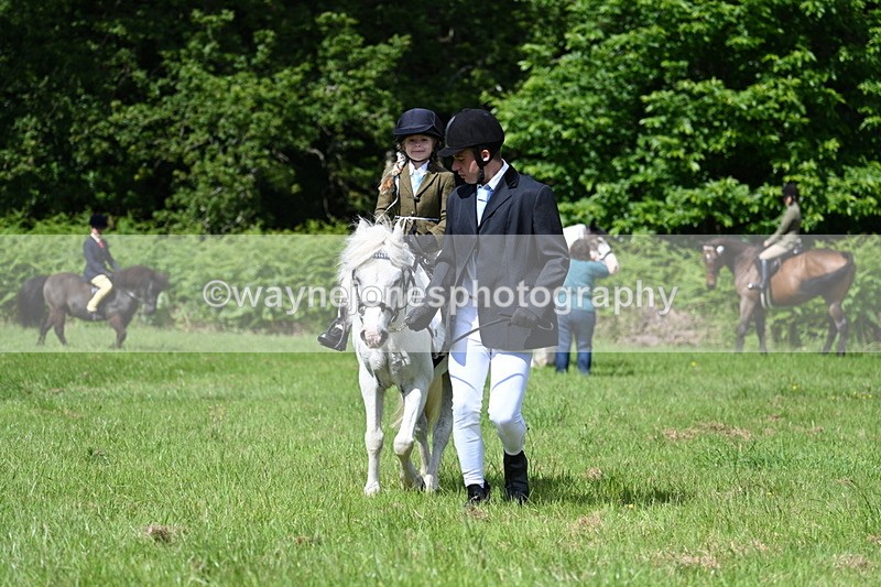WJ7_1208 - Class 11 Condition & Turnout