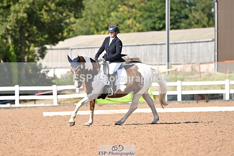 240816A-164922-06280 - 307-Rachel.Cook-Tiger.lily.vi