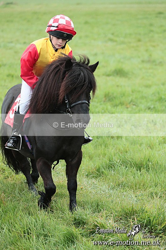 SHETPR 210425 149 - Shetland Ponies Paxford Races 21/04/25