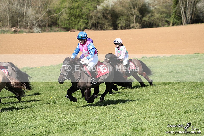 Shet 060426 296 - Shetland Pony Racing Paxford Races Easter Mon 06/04/26