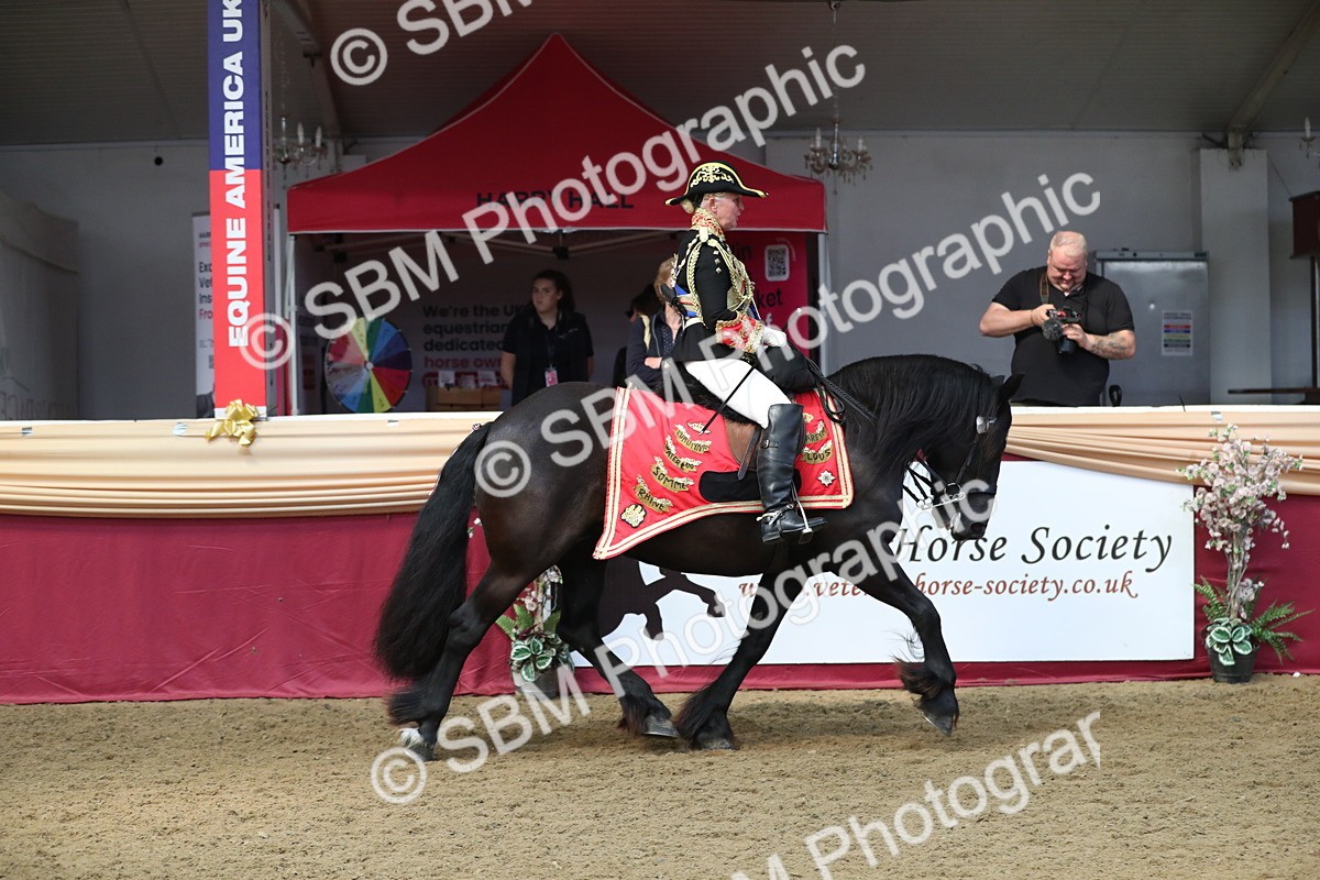 SBM_12088 - Class 106 Ridden Costume- Astride Adult (15-19)