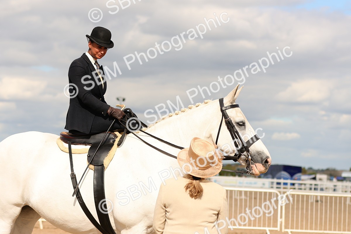 SBM_15911 - Class 216 - Best Side Saddle Horse-Pony
