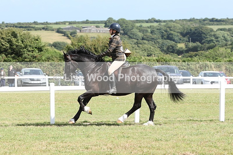 JPP_2324 - Class 19: Working Hunter 60cm