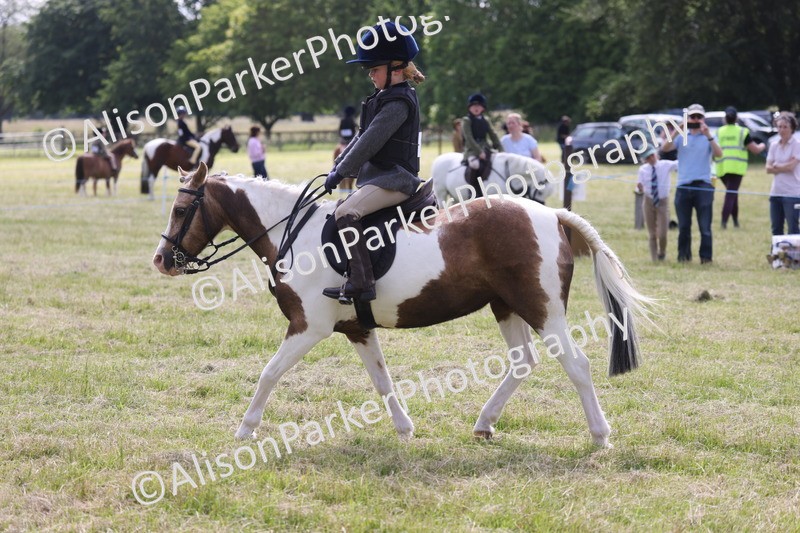 20260614-0694 - Class 20 - Beginners Working Hunter Pony
