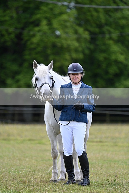 WJ7_7072 - Class 5a Most Handsome Gelding in Hand