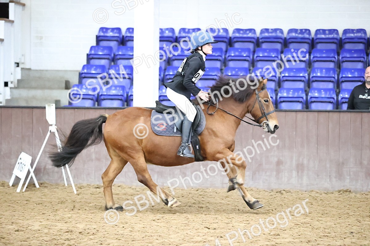 SBM_000158 - Class 2 - The Rug Lady 40cm Area 12 Championship Qualifier