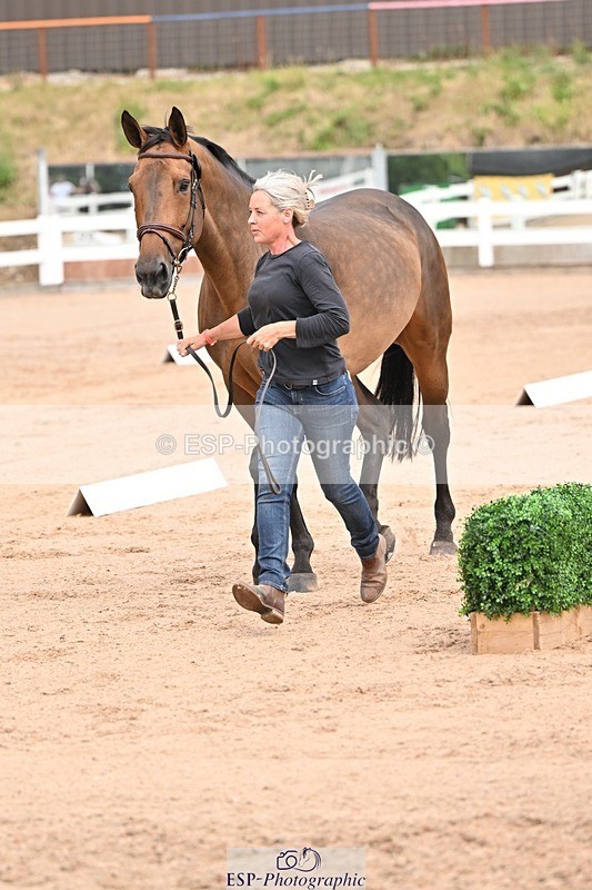 250716-150616-01622 - Trot Up 2.30 to 3.30