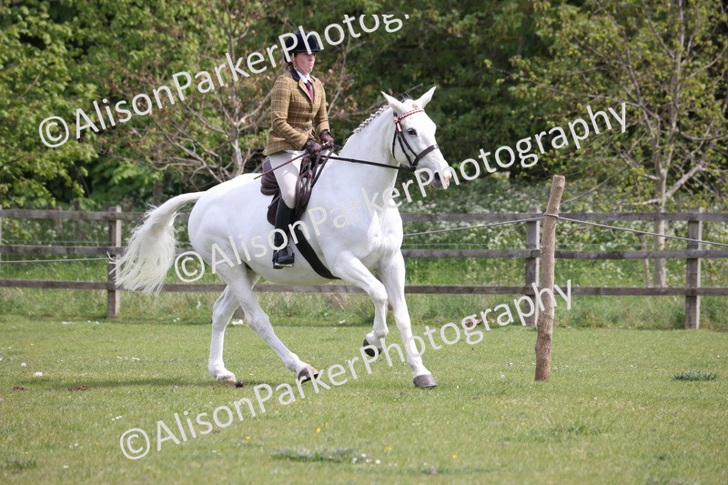 20260426-4357 - Class 34 - Best Riding Horse Over 14.2hh