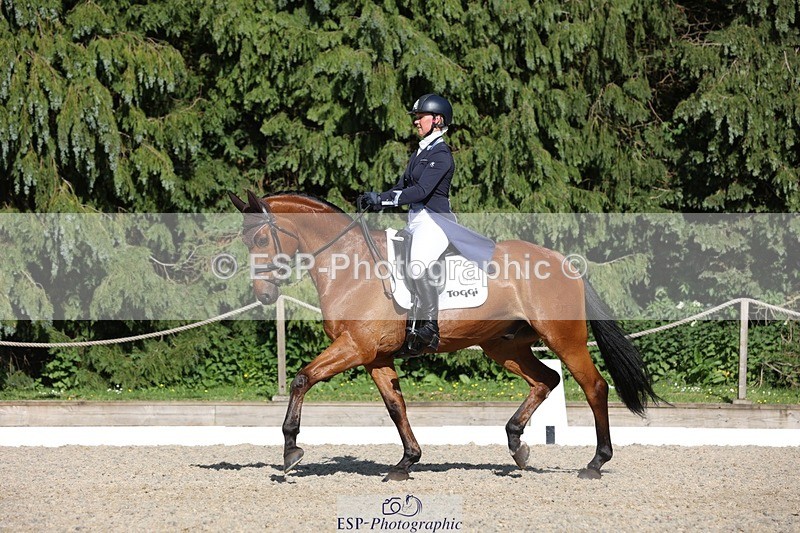 230526-171836-07943 - 177-ARGENTINO_BK-Dani_Evans-WEDTrotUp+DR