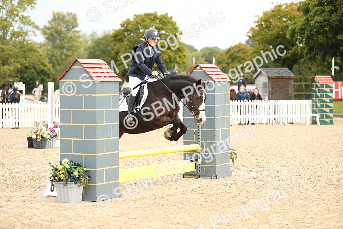 SBM_02011 - J34 - Veteran Rider 50cm