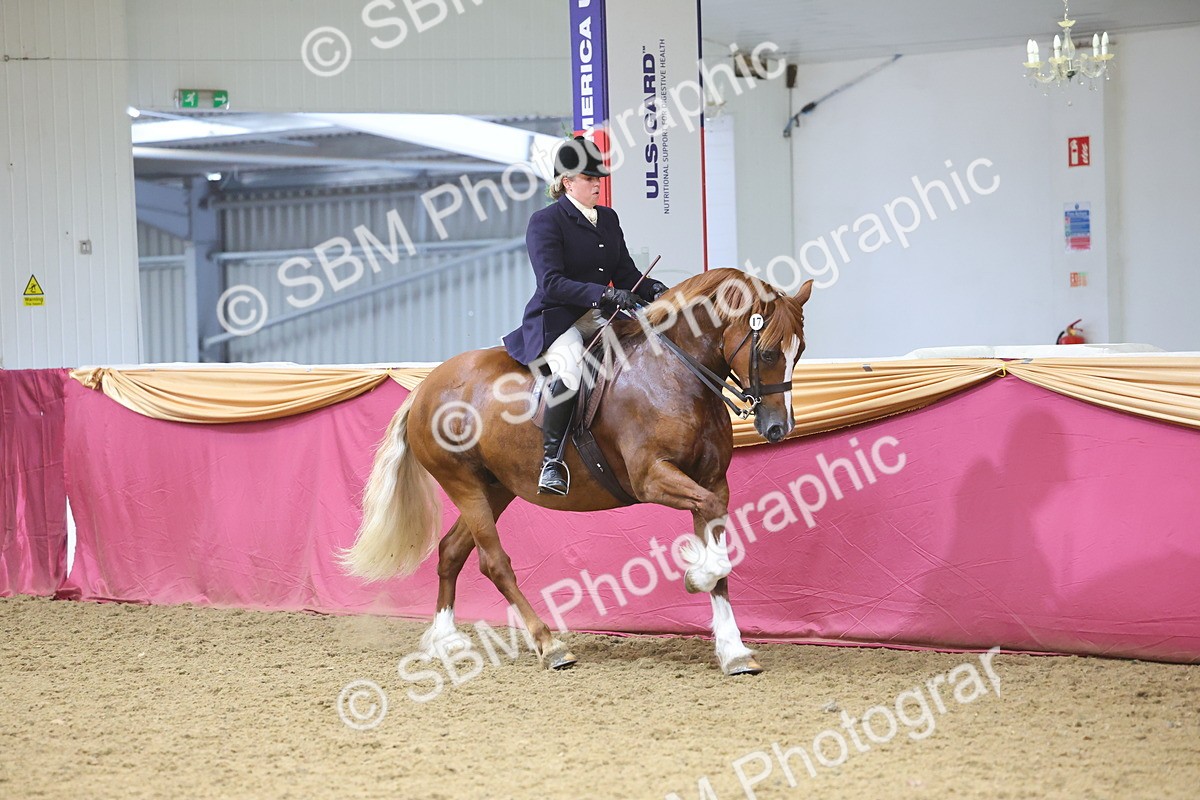 SBM_24930 - Supreme Final - Ridden Champion