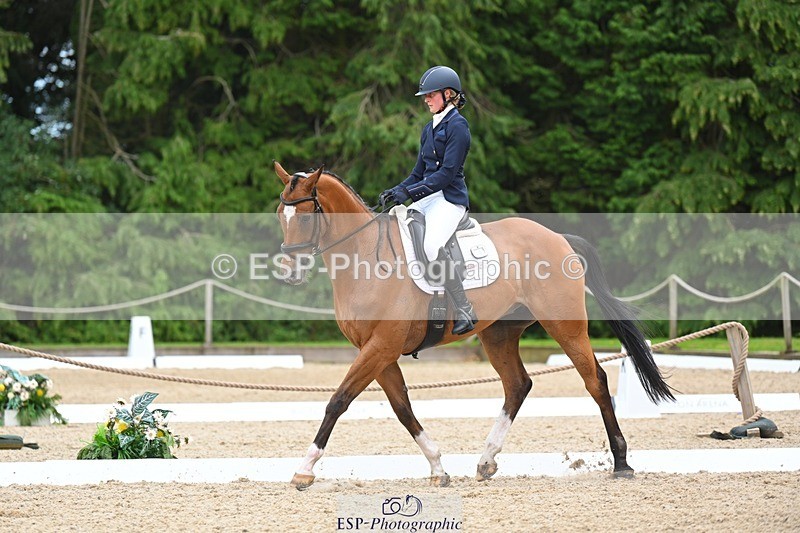 230813-132957-07587 - Cls 13 Medium Bronze 13.15 to End