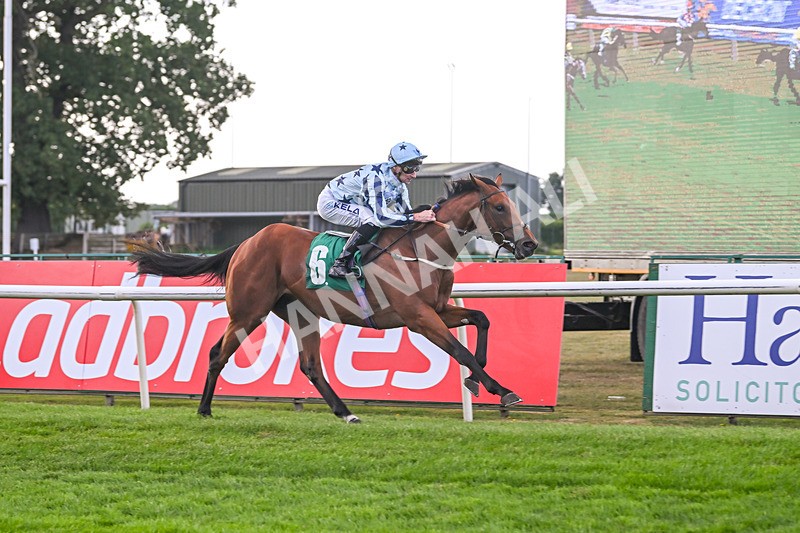 150825-Race 2-Hasbro Market-2544 - Race 2