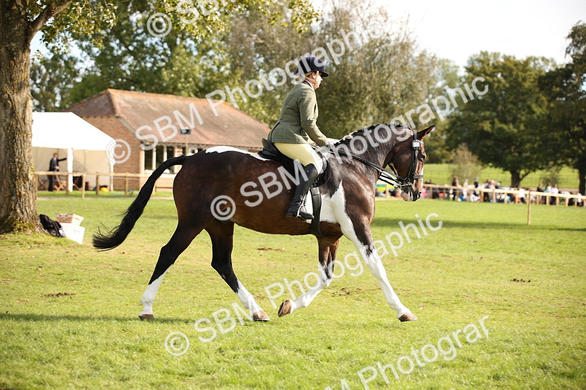 SBM_50177 - S26 - Young Veteran - Ridden