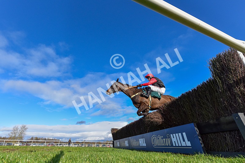 270224-Race 2-Prairie Wolf-1836 - Race 2