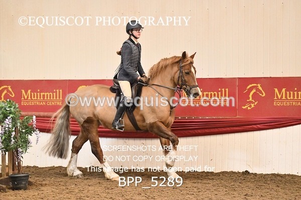 BPP_5289 - CLASS 6 60CM