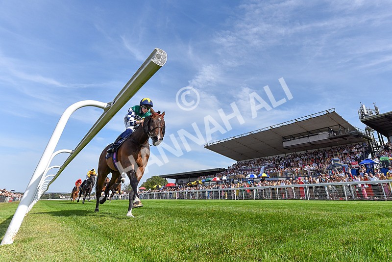 130825-Race 5-Bell Shot-2 - Race 5