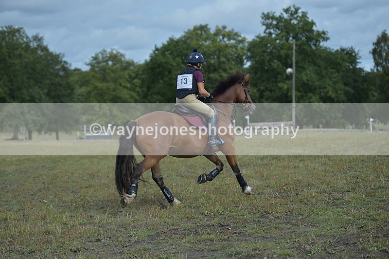 NGP_1169 - XC Time 10:22 to 10:35