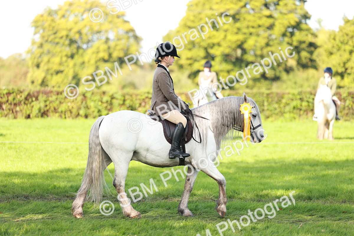 SBM_37093 - S11 - Best Ridden Horse & Pony