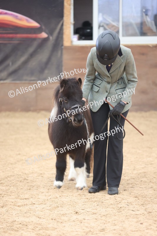 20251109-0252 - Class 11 - 2 and 3 Year Old