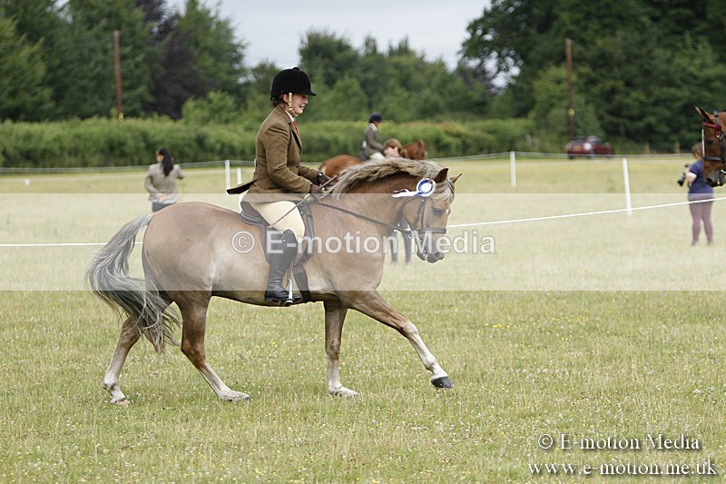 BVR160717-197 - Ring 3 BVRC Show 16/07/17