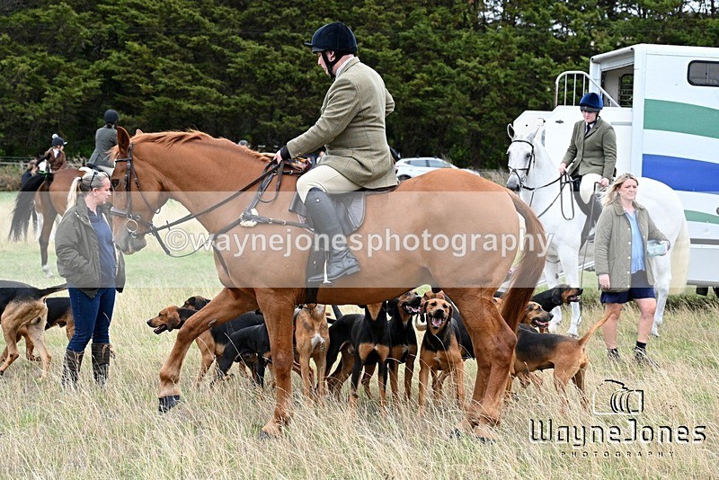 WJ7_0652 - Berks & Bucks Hound Exercise Blewbury 13-09-26