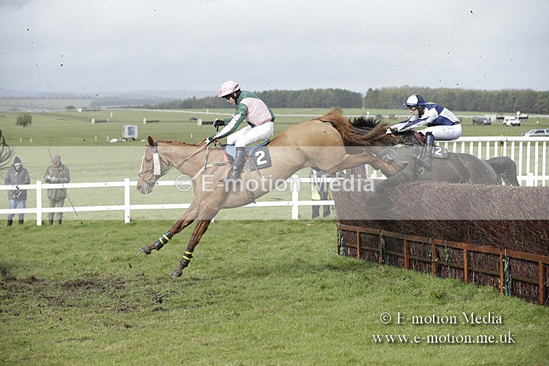 PtP 150320 0399 - New Forest Point-to-Point Larkhill 15/03/20