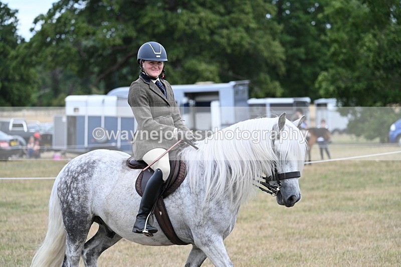 WJ7_5443 - Class 12 Ridden Cob