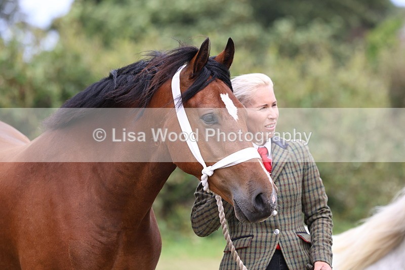 3E7A4475 - Class 15: Three Year Olds