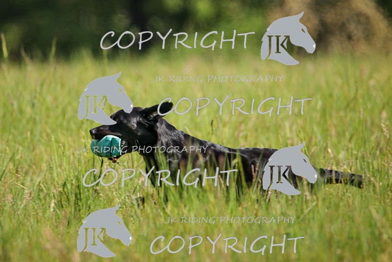 2R6A8054 - 14 Linda
