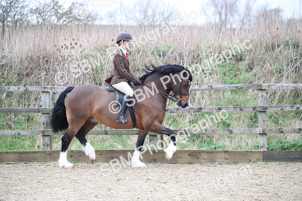 SBM_006288 - Class 10-13 - RIHS Small Large Breeds