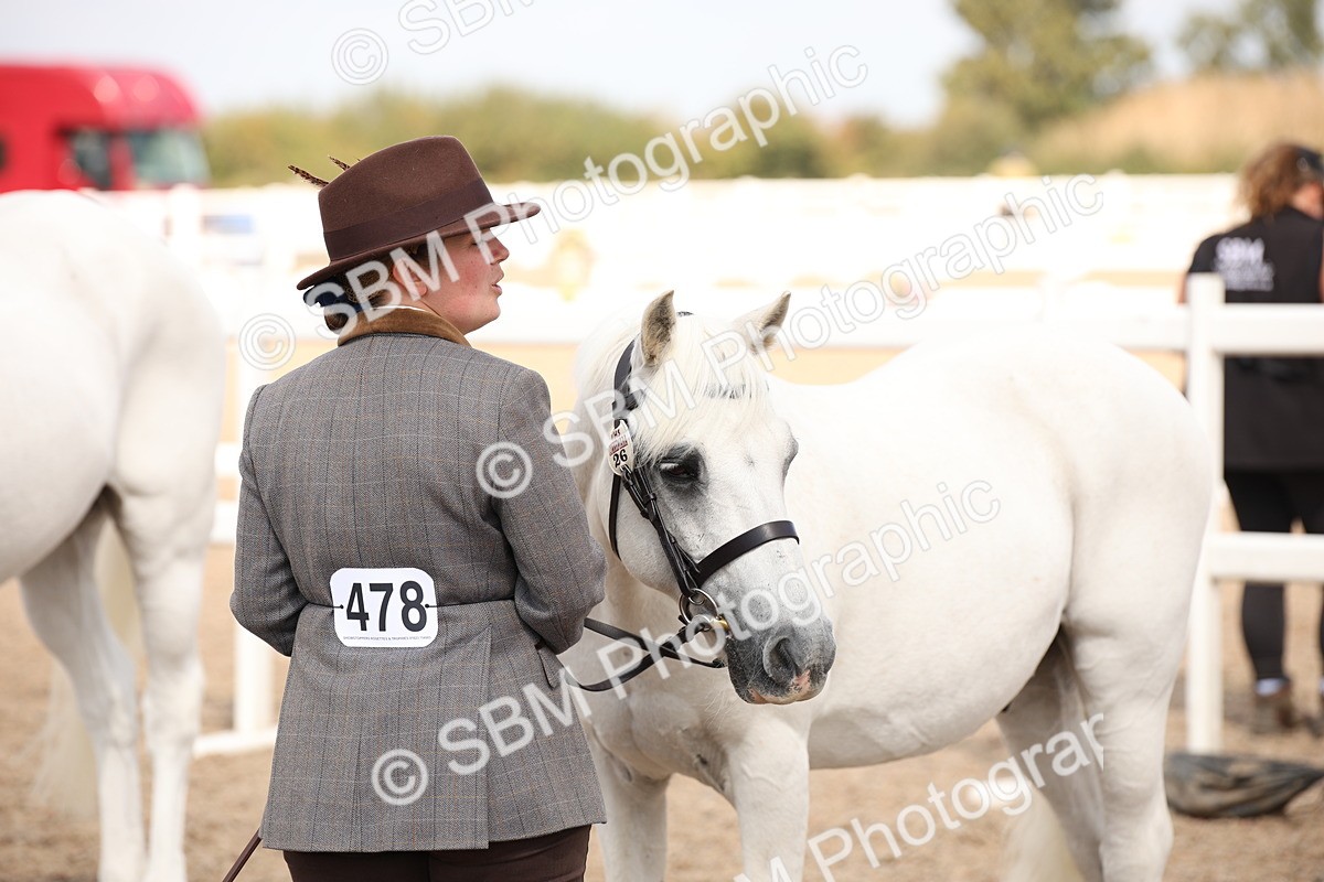 SBM_03758 - Class 19 Judge's Favourite