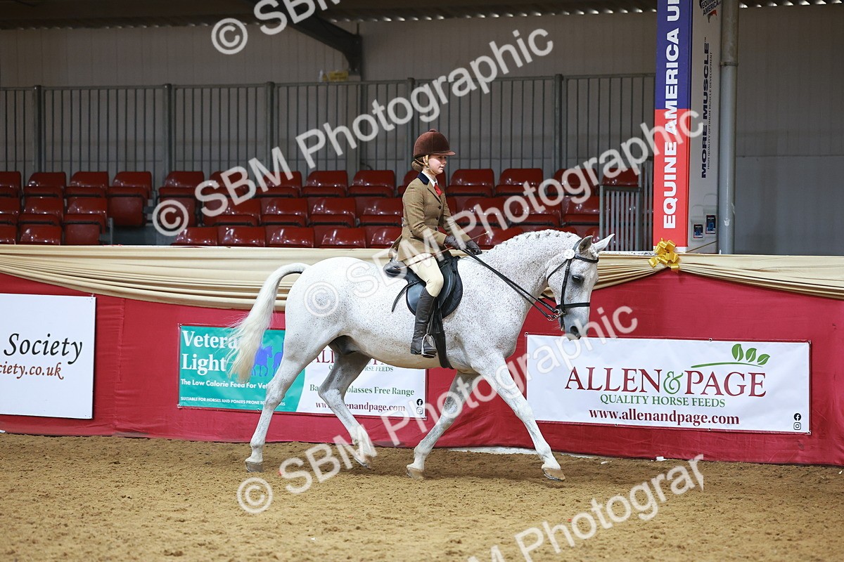 SBM_09376 - Class 102 - HOYS Veteran Qualifier - Ridden Veteran