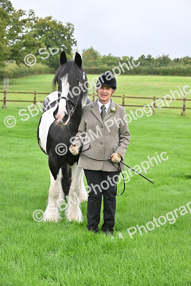 SBM_32642 - S15 - Top Turnout In Hand