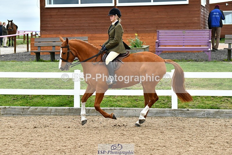230416A-143117-05257 - Cls 74 Warmblood