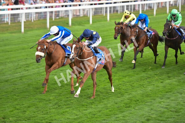 yr18082022r1-27 - Race 1 1.50pm Sky Bet Lowther Stakes
