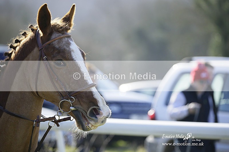 PtP 260222 21 - Kingston Blount Racing Club Point-to-Point 26/02/22
