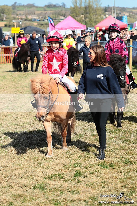 Shet 060426 105 - Shetland Pony Racing Paxford Races Easter Mon 06/04/26
