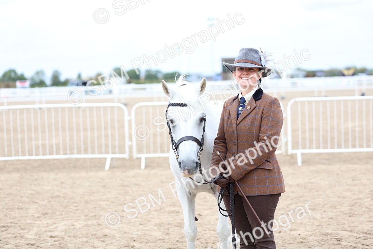 SBM_05933 - Class 29 - IH Veteran Pony