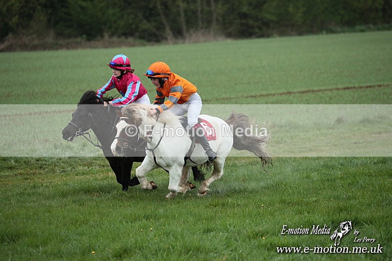 SHETPR 210425 90 - Shetland Ponies Paxford Races 21/04/25