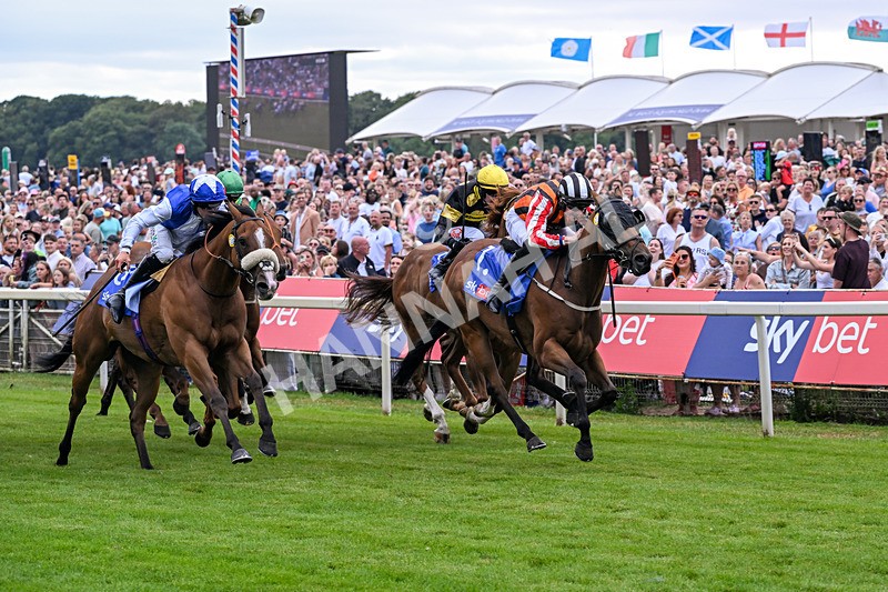 250726-Race 1-Kodiac Thriller-6736 - Race 1 13.30pm Sky Bet 'Jump Jockeys' Nunthorpe' Handicap